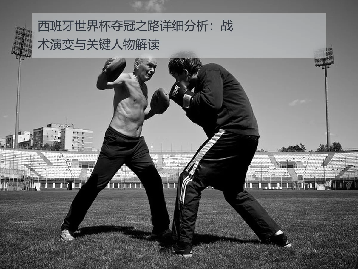 西班牙世界杯夺冠之路详细分析：战术演变与关键人物解读